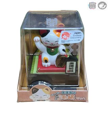 Hm-M02Df Manekineko Souvenir